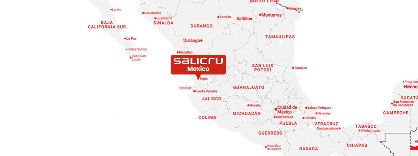 Salicru -  SAI / UPS | Variadores de Frecuencia | Inversores solares | Servicio y Soporte T&eacute;cnico