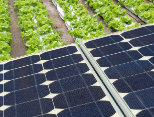EFFICACITÉ ÉNERGÉTIQUE ET RENOUVELABLES