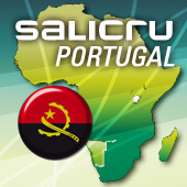 Estabilizadores electr&oacute;nicos RE para garantizar la protecci&oacute;n electr&oacute;nica de Telecom Angola
