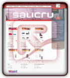 Salicru cuelga en la web nuevas fichas de servicios