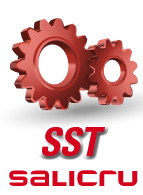 Le SST de Salicru, un service int&eacute;gral &agrave; disposition du client
