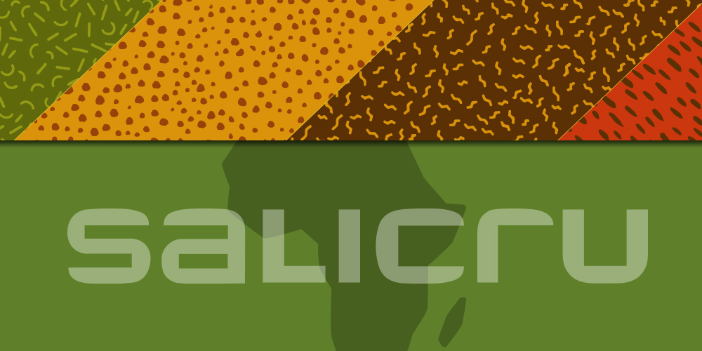La division Salicru Afrique a &eacute;t&eacute; cr&eacute;&eacute;e
