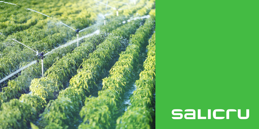 The agricultural industry and energy efficiency